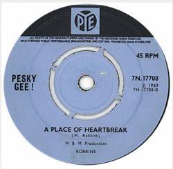 Pesky Gee : Where Is My Mind - Place of Heartbreak